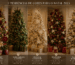 Imagem horizontal mostrando cinco árvores de Natal decoradas, cada uma representando uma tendência de cores: burgundy e dourado, verde-floresta e madeira, branco e champagne, vermelho e dourado em estilo tradicional e neutro e minimalista. As árvores aparecem em ambientes elegantes, com iluminação quente, enfeites sofisticados, laços, flores, elementos naturais e presentes decorados.